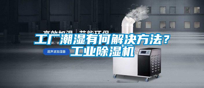 工廠潮濕有何解決方法？工業(yè)除濕機(jī)