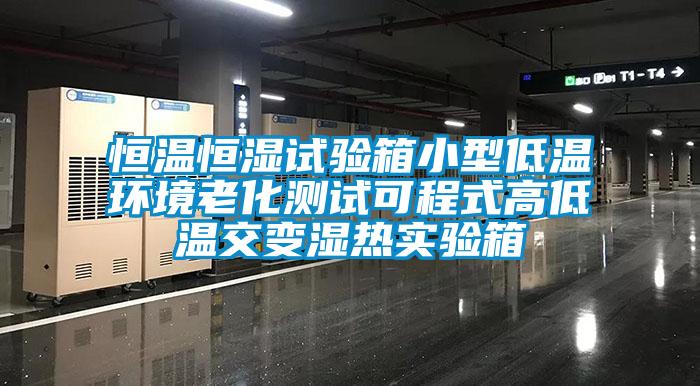 恒溫恒濕試驗箱小型低溫環(huán)境老化測試可程式高低溫交變濕熱實(shí)驗箱