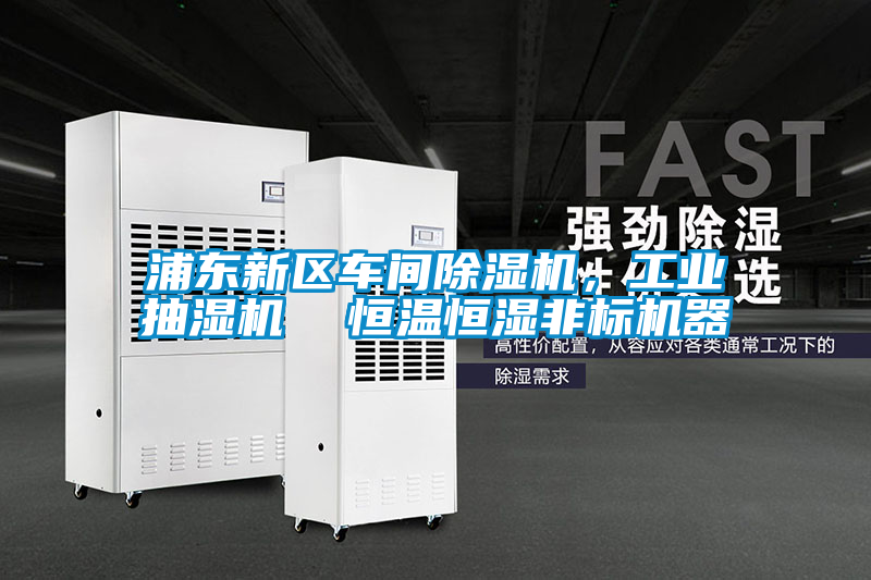 浦東新區(qū)車間除濕機(jī)，工業(yè)抽濕機(jī)  恒溫恒濕非標(biāo)機(jī)器