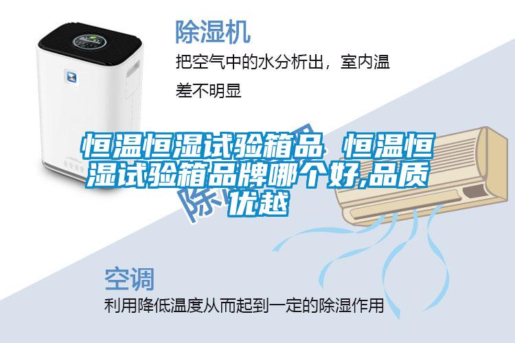 恒溫恒濕試驗箱品 恒溫恒濕試驗箱品牌哪個好,品質(zhì)優(yōu)越