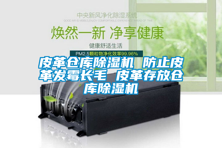 皮革倉庫除濕機 防止皮革發(fā)霉長毛 皮革存放倉庫除濕機