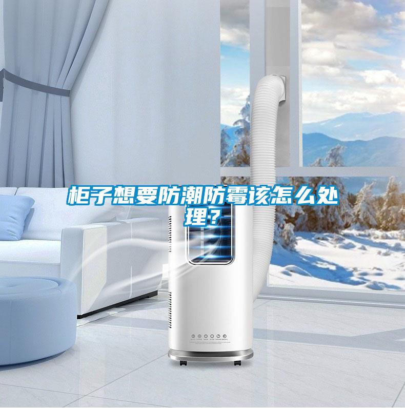 柜子想要防潮防霉該怎么處理？