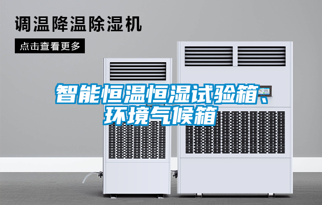 智能恒溫恒濕試驗箱、環(huán)境氣候箱