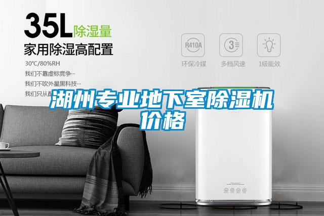 湖州專業(yè)地下室除濕機(jī)價格