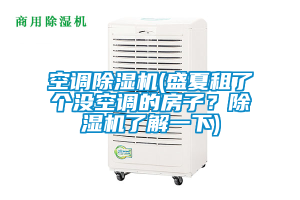 空調(diào)除濕機(jī)(盛夏租了個(gè)沒(méi)空調(diào)的房子？除濕機(jī)了解一下)