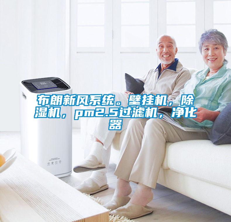 布朗新風(fēng)系統(tǒng)。壁掛機(jī)，除濕機(jī)，pm2.5過(guò)濾機(jī)，凈化器