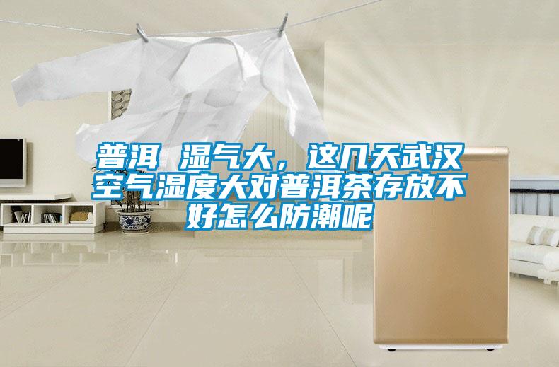普洱 濕氣大，這幾天武漢空氣濕度大對普洱茶存放不好怎么防潮呢