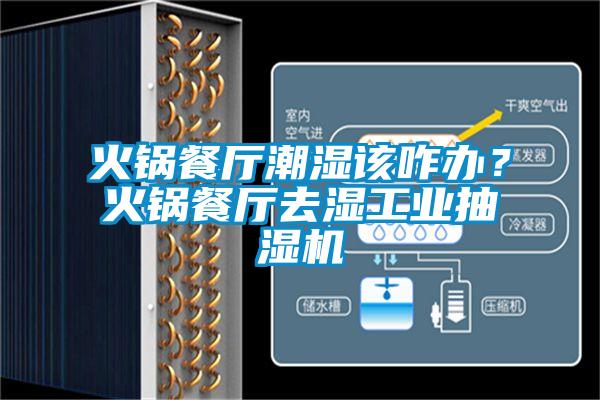 火鍋餐廳潮濕該咋辦？火鍋餐廳去濕工業(yè)抽濕機(jī)