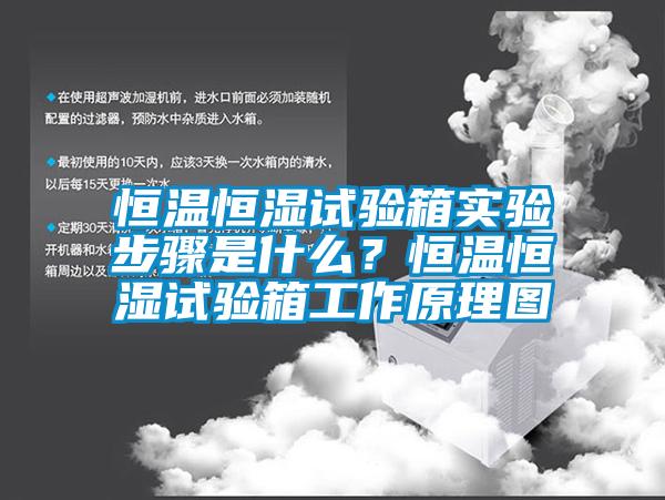 恒溫恒濕試驗箱實(shí)驗步驟是什么？恒溫恒濕試驗箱工作原理圖