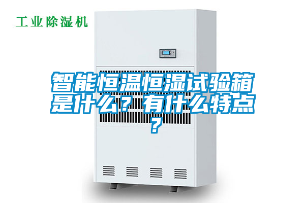 智能恒溫恒濕試驗箱是什么？有什么特點？