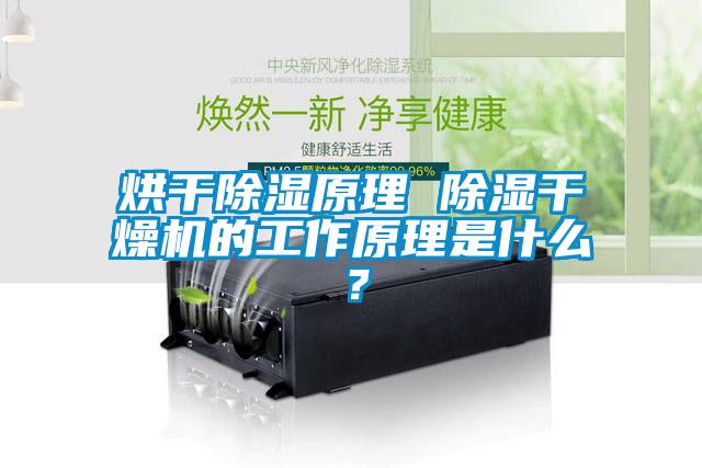 烘干除濕原理 除濕干燥機的工作原理是什么？