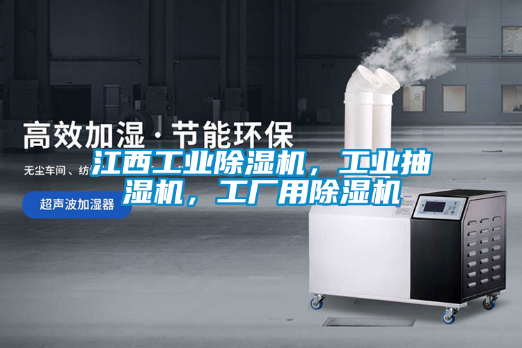 江西工業(yè)除濕機(jī)，工業(yè)抽濕機(jī)，工廠用除濕機(jī)