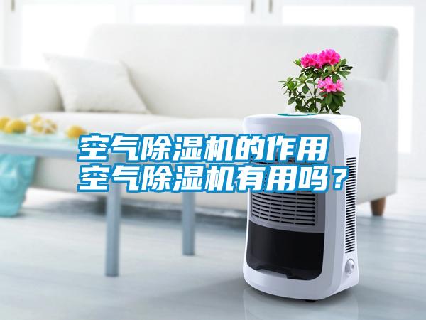 空氣除濕機(jī)的作用 空氣除濕機(jī)有用嗎？