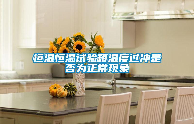 恒溫恒濕試驗箱溫度過沖是否為正?，F(xiàn)象