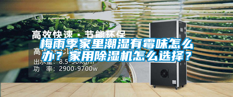 梅雨季家里潮濕有霉味怎么辦？家用除濕機(jī)怎么選擇？