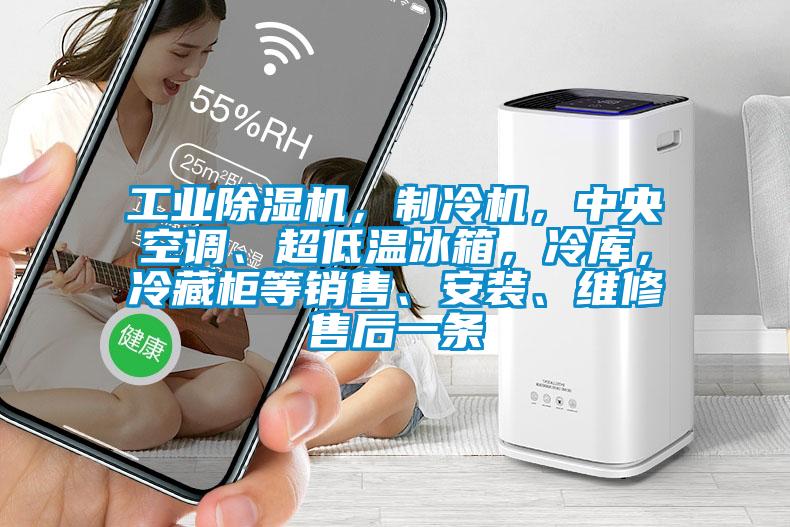 工業(yè)除濕機，制冷機，中央空調(diào)、超低溫冰箱，冷庫，冷藏柜等銷售、安裝、維修售后一條