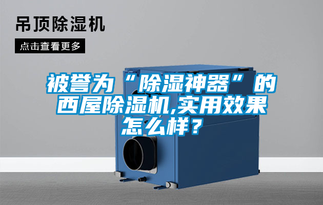 被譽(yù)為“除濕神器”的西屋除濕機(jī),實(shí)用效果怎么樣？