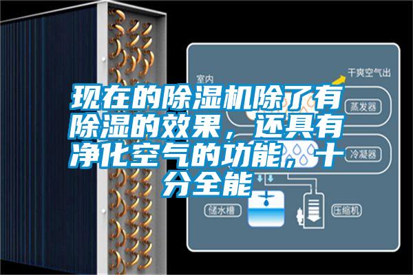 現(xiàn)在的除濕機(jī)除了有除濕的效果，還具有凈化空氣的功能，十分全能