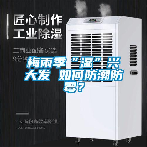 梅雨季“濕”興大發(fā) 如何防潮防霉？