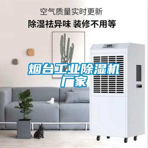 煙臺工業(yè)除濕機(jī)廠家