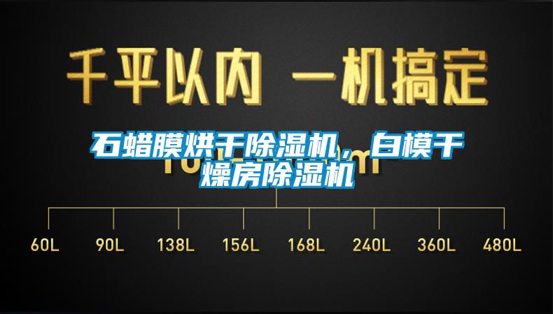 石蠟?zāi)ず娓沙凉駲C(jī)，白模干燥房除濕機(jī)