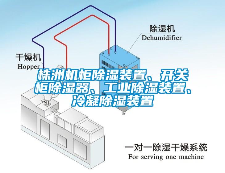 株洲機(jī)柜除濕裝置、開(kāi)關(guān)柜除濕器、工業(yè)除濕裝置、冷凝除濕裝置