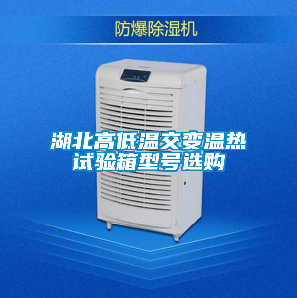 湖北高低溫交變溫?zé)嵩囼?yàn)箱型號(hào)選購