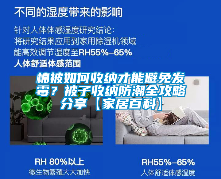 棉被如何收納才能避免發(fā)霉？被子收納防潮全攻略分享【家居百科】