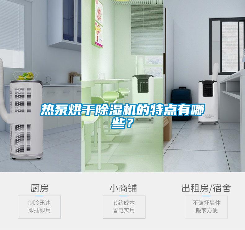 熱泵烘干除濕機的特點有哪些？