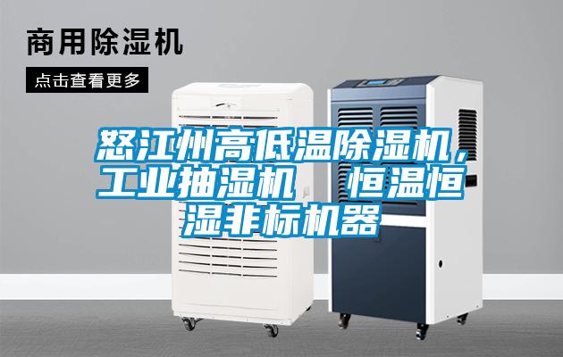 怒江州高低溫除濕機(jī)，工業(yè)抽濕機(jī)  恒溫恒濕非標(biāo)機(jī)器