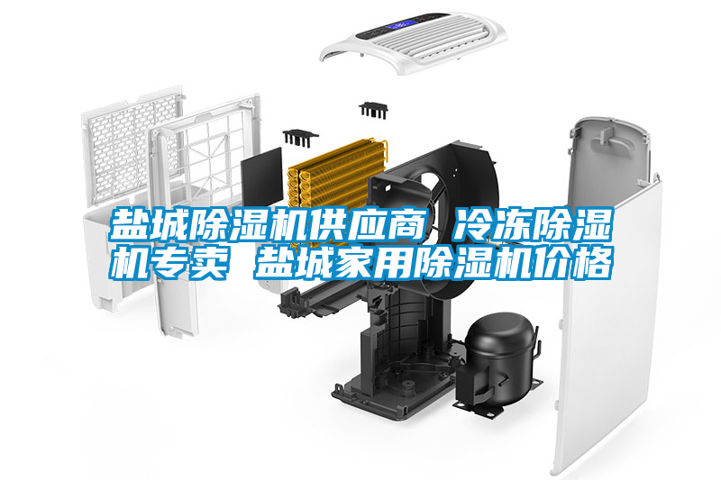 鹽城除濕機(jī)供應(yīng)商 冷凍除濕機(jī)專(zhuān)賣(mài) 鹽城家用除濕機(jī)價(jià)格