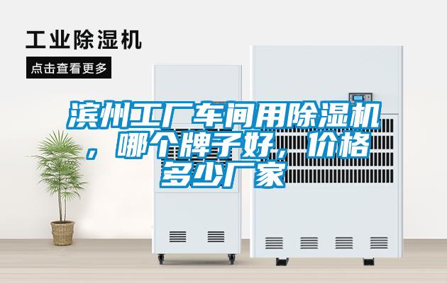 濱州工廠車間用除濕機(jī)，哪個(gè)牌子好，價(jià)格多少廠家