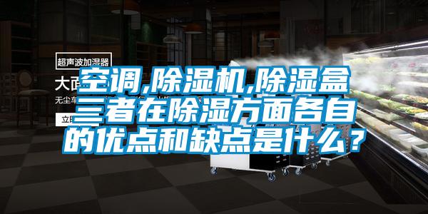 空調(diào),除濕機(jī),除濕盒三者在除濕方面各自的優(yōu)點(diǎn)和缺點(diǎn)是什么？