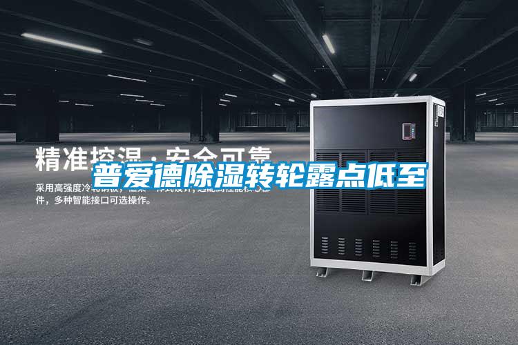 普愛德除濕轉(zhuǎn)輪露點低至