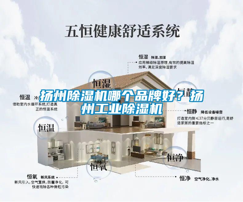 揚州除濕機(jī)哪個品牌好？揚州工業(yè)除濕機(jī)