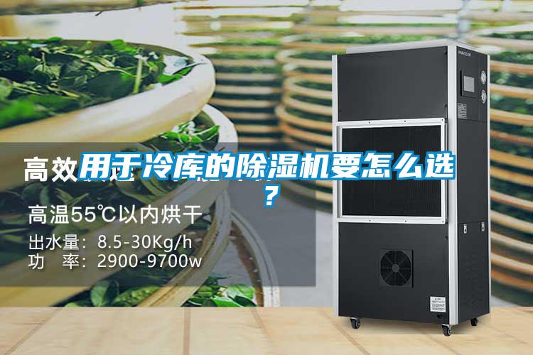 用于冷庫的除濕機(jī)要怎么選？
