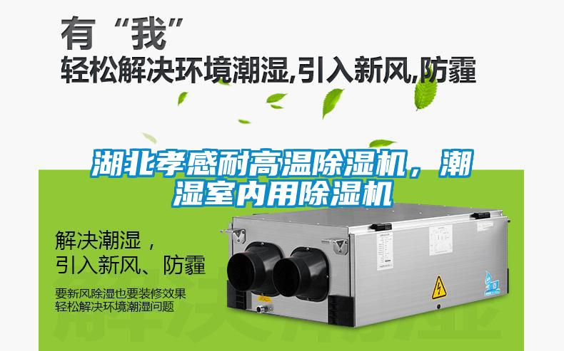 湖北孝感耐高溫除濕機(jī)，潮濕室內(nèi)用除濕機(jī)