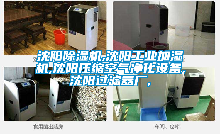 沈陽除濕機,沈陽工業(yè)加濕機,沈陽壓縮空氣凈化設(shè)備,沈陽過濾器廠,