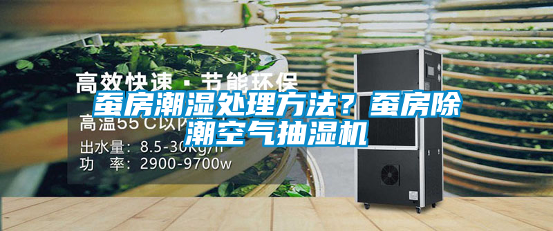 蠶房潮濕處理方法？蠶房除潮空氣抽濕機