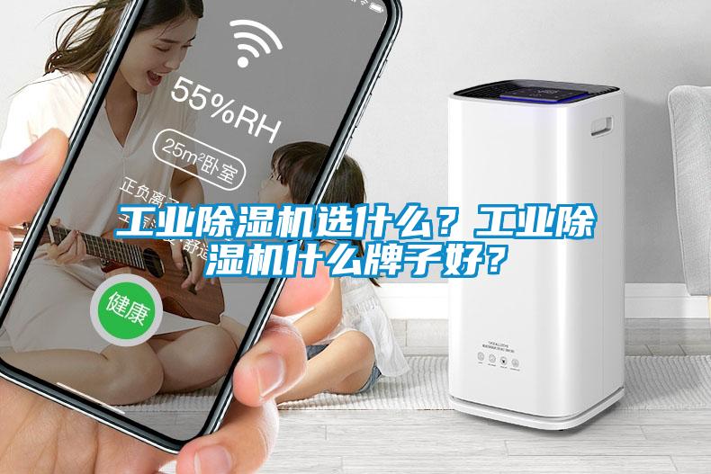 工業(yè)除濕機選什么？工業(yè)除濕機什么牌子好？