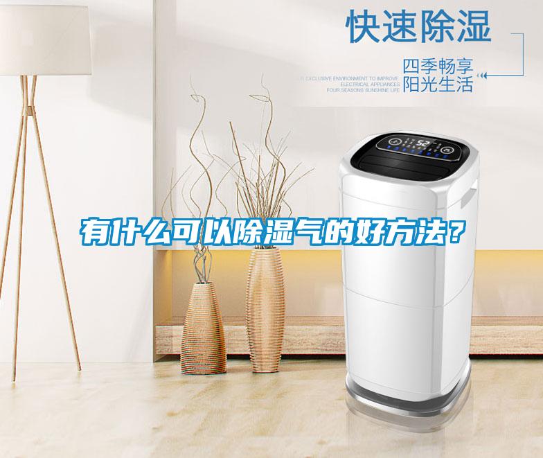 有什么可以除濕氣的好方法？