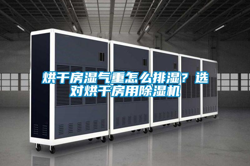 烘干房濕氣重怎么排濕？選對烘干房用除濕機