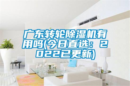 廣東轉(zhuǎn)輪除濕機(jī)有用嗎(今日直選：2022已更新)