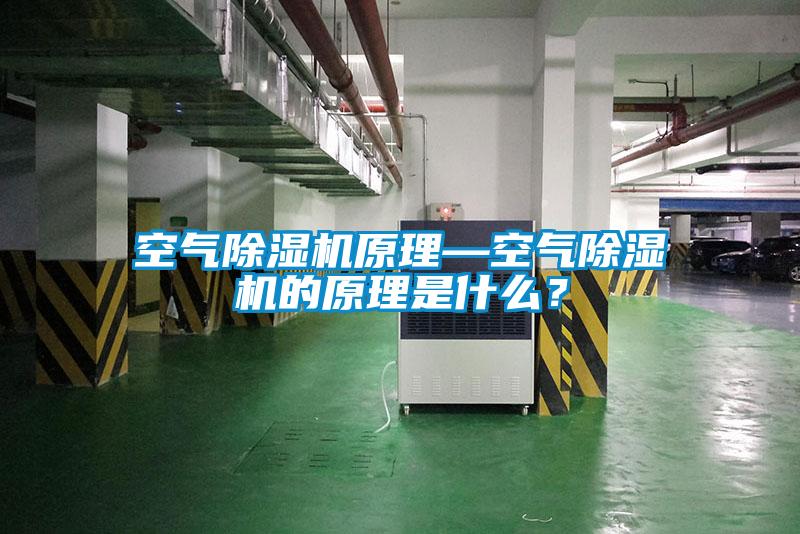 空氣除濕機(jī)原理—空氣除濕機(jī)的原理是什么？