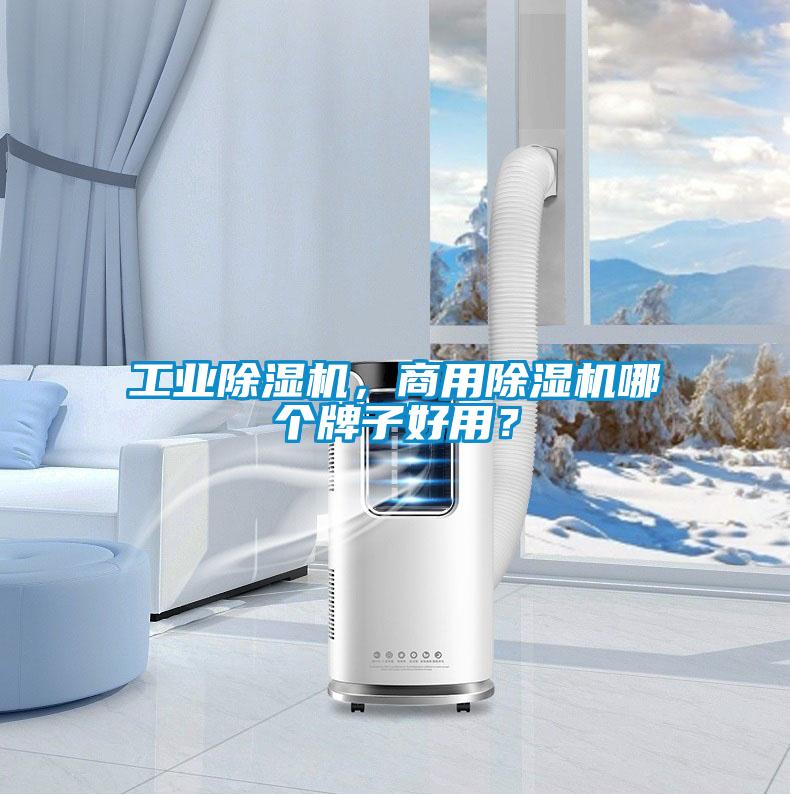 工業(yè)除濕機，商用除濕機哪個牌子好用？