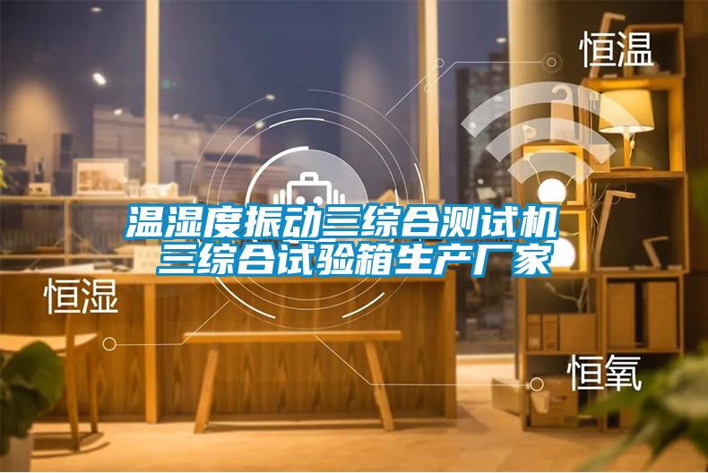 溫濕度振動三綜合測試機 三綜合試驗箱生產(chǎn)廠家