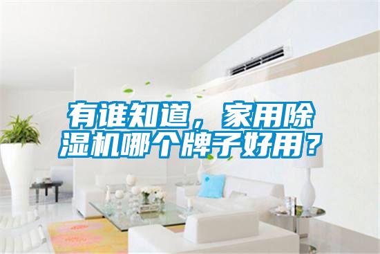 有誰知道，家用除濕機(jī)哪個牌子好用？