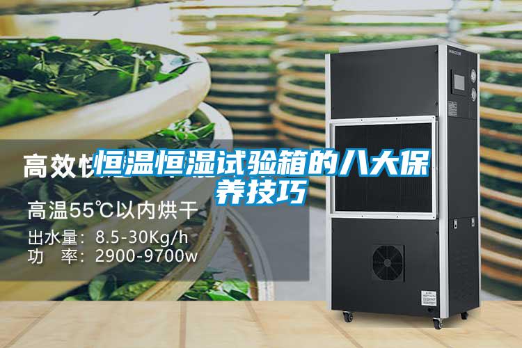 恒溫恒濕試驗箱的八大保養(yǎng)技巧