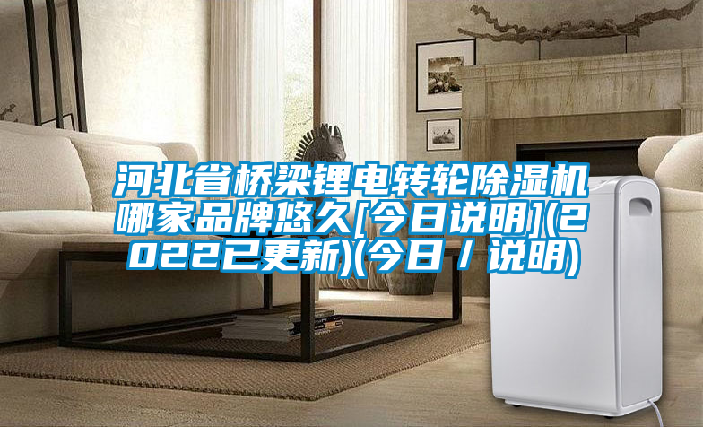 河北省橋梁鋰電轉(zhuǎn)輪除濕機哪家品牌悠久[今日說明](2022已更新)(今日／說明)