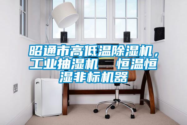 昭通市高低溫除濕機，工業(yè)抽濕機  恒溫恒濕非標機器